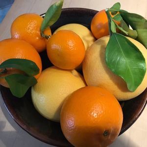 Meet your Posher, Loni